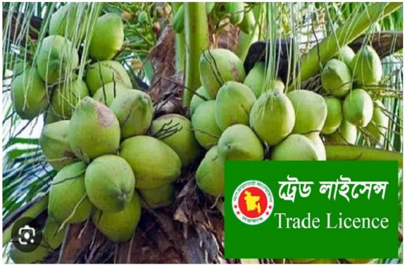ছবি : সংগৃহিত