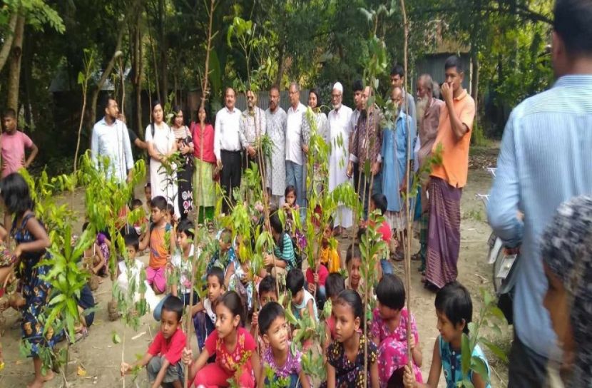 বোয়ালমারীতে এসডিসির গাছের চারা বিতরণ
