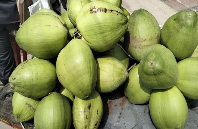 বেনাপোলে ডাবের দাম বেড়েছে তিনগুন