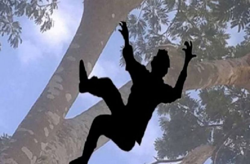 প্রতীকী ছবি