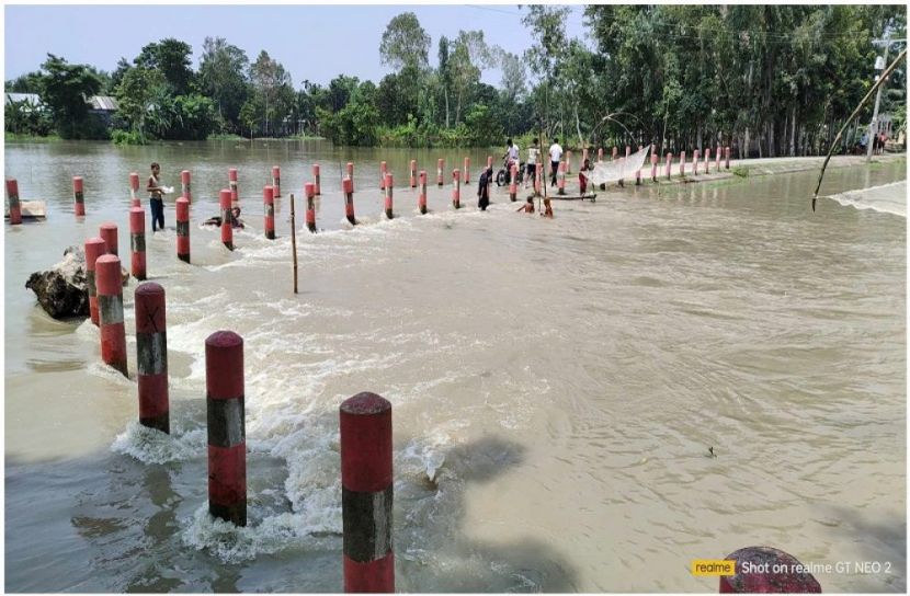 ছবি : সংগৃহিত