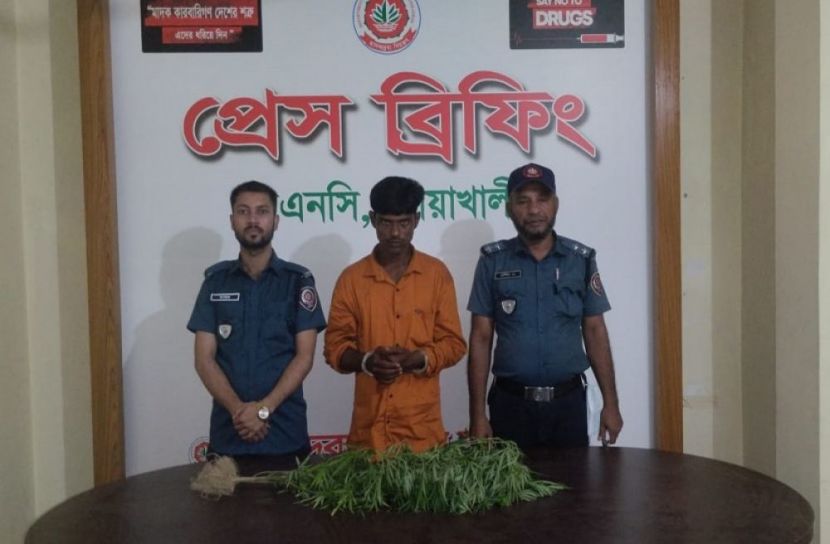 বাড়ির ছাদে গাঁজা চাষ, গ্রেফতার ১
