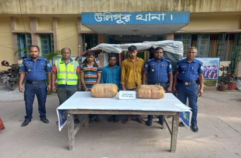 উলিপুরে গাঁজাসহ আটক ৩