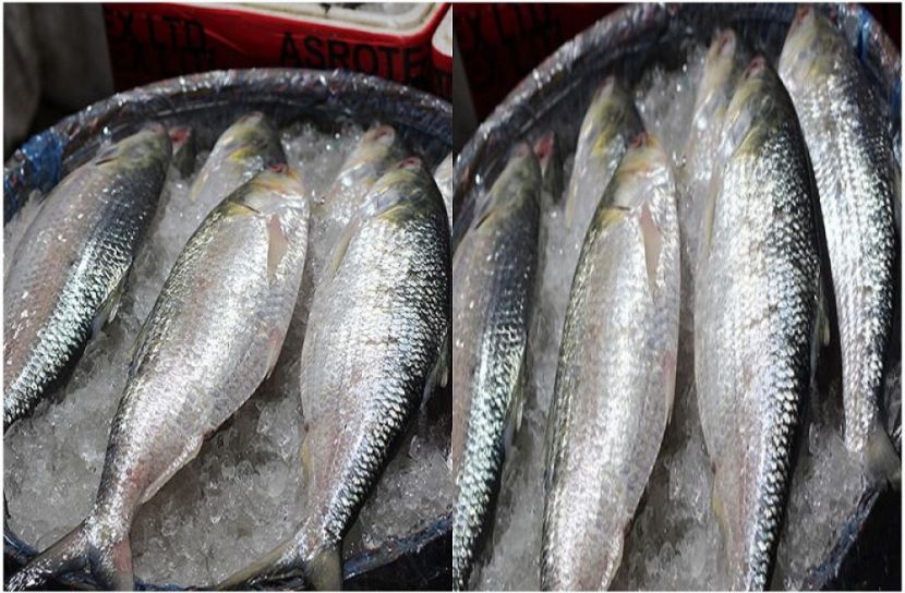 ছবি : সংগৃহিত