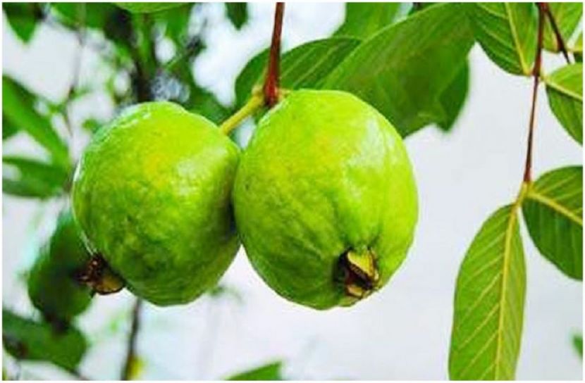 সংগৃহীত