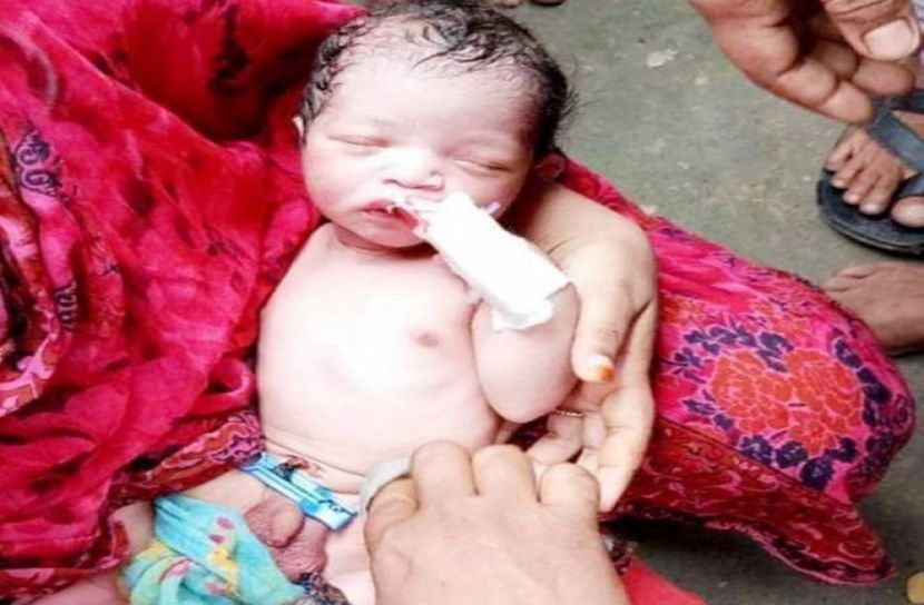 জঙ্গলে মিলল জীবিত নবজাতক