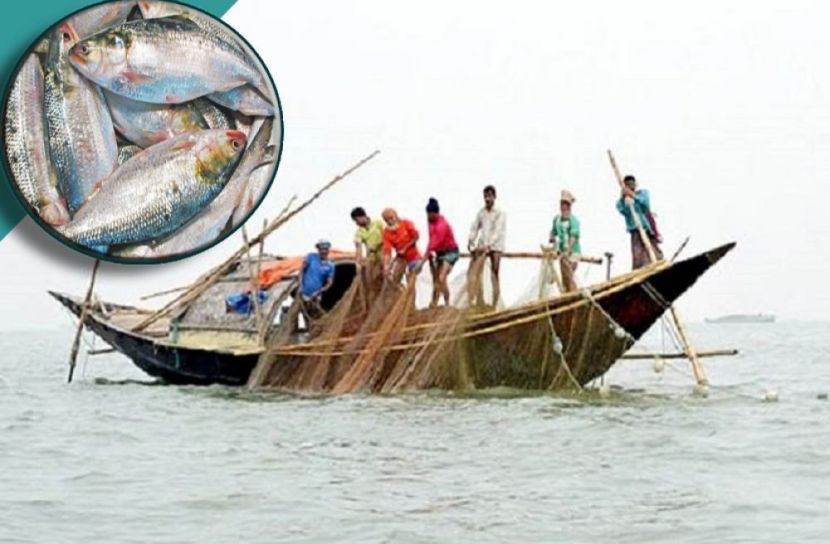 সংগৃহীত