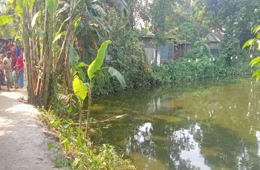 ছবি-সংগৃহীত