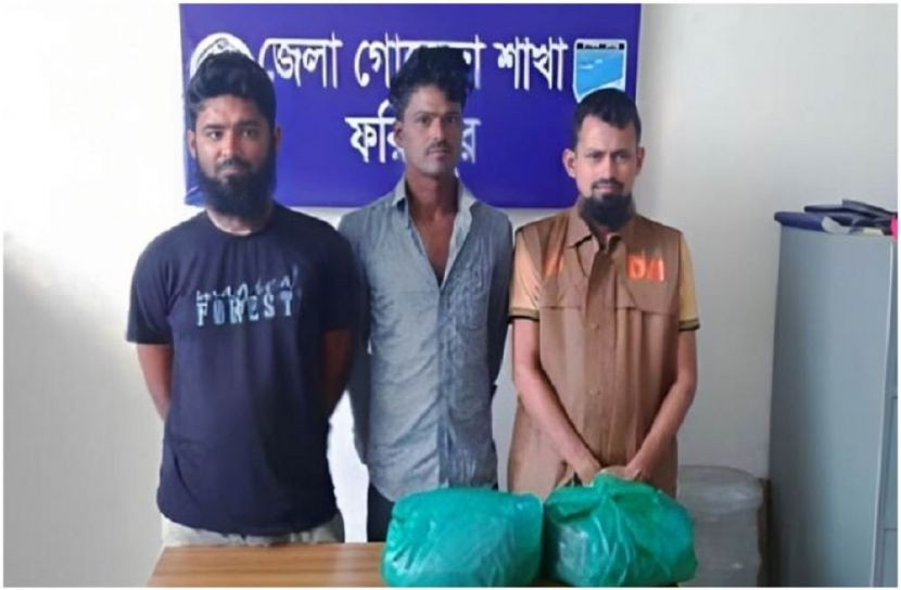 সংগৃহীত