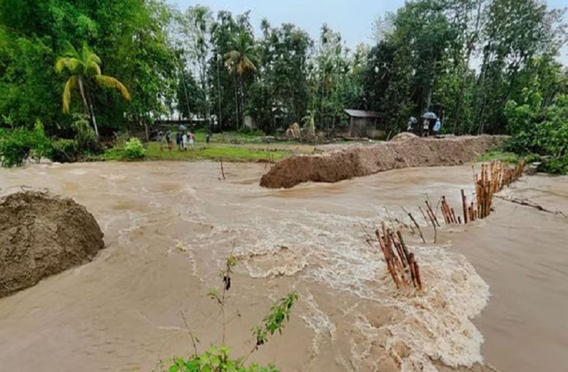 ফাইল ছবি