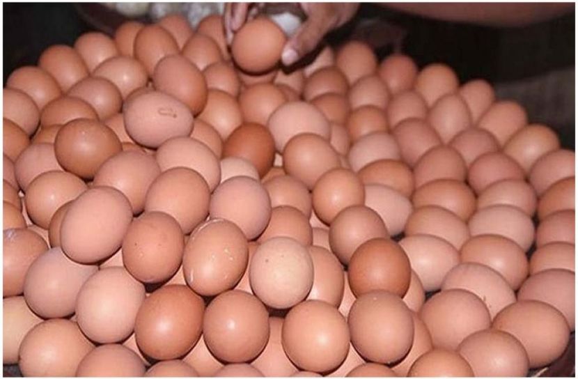 সংগৃহীত