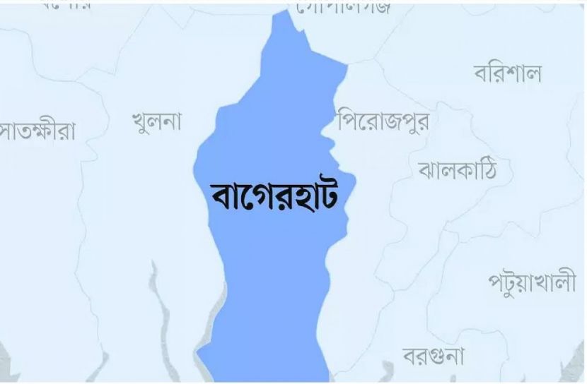 সংগৃহীত