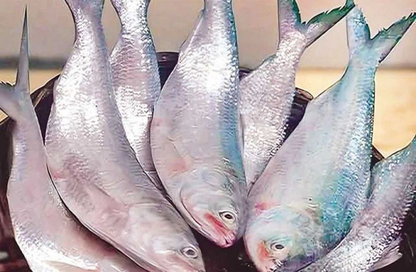 ছবি-সংগৃহীত