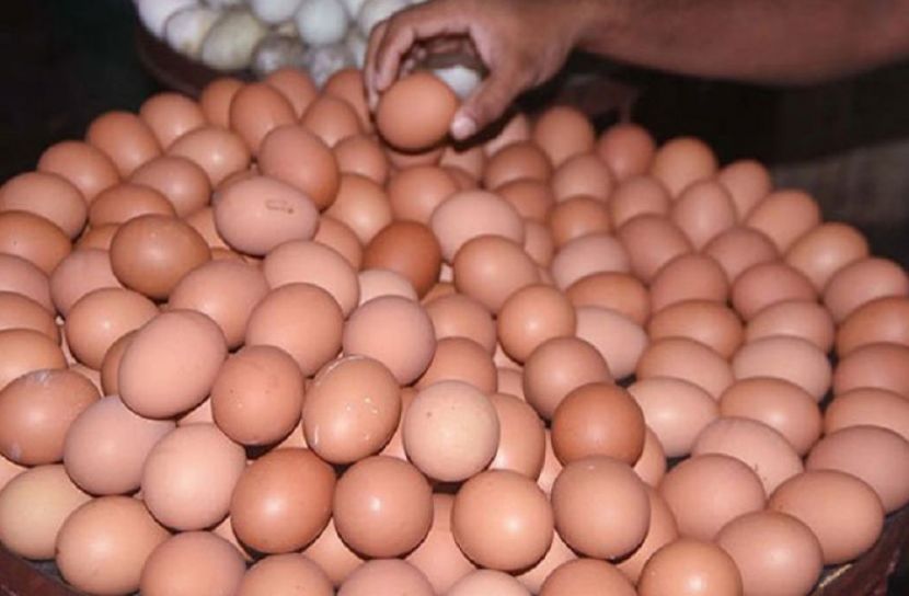 ছবি-সংগৃহীত