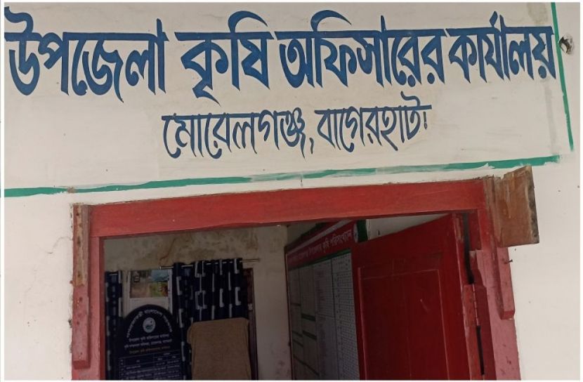 সংগৃহীত