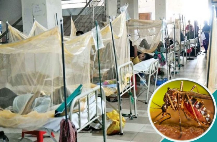 ডেঙ্গু কাড়ল আরও ৯ প্রাণ