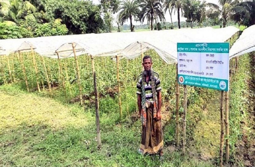 ছবি: সংগৃহীত