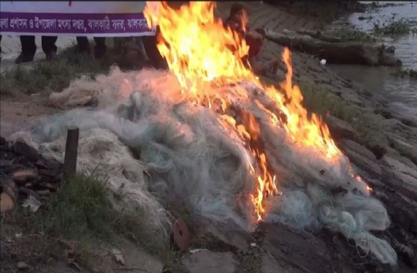 ঝালকাঠিতে কারেন্ট জাল ও ইলিশ জব্দ