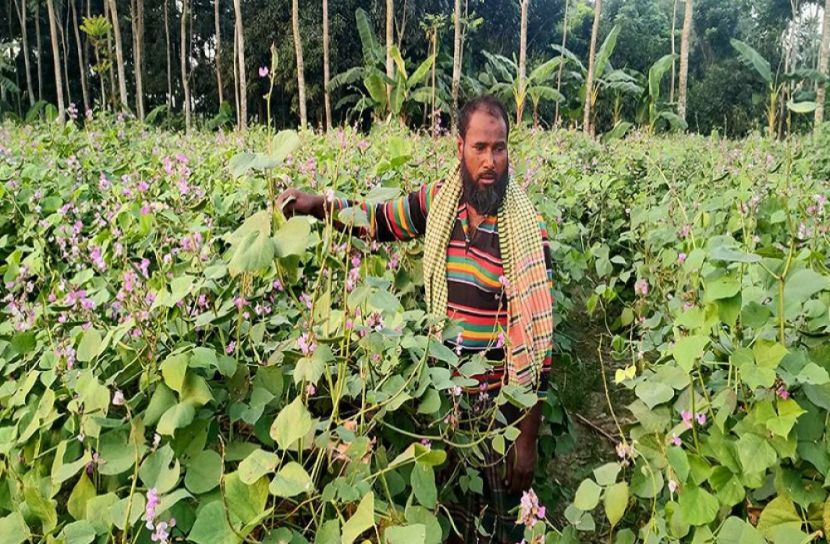 ছবি: সংগৃহীত