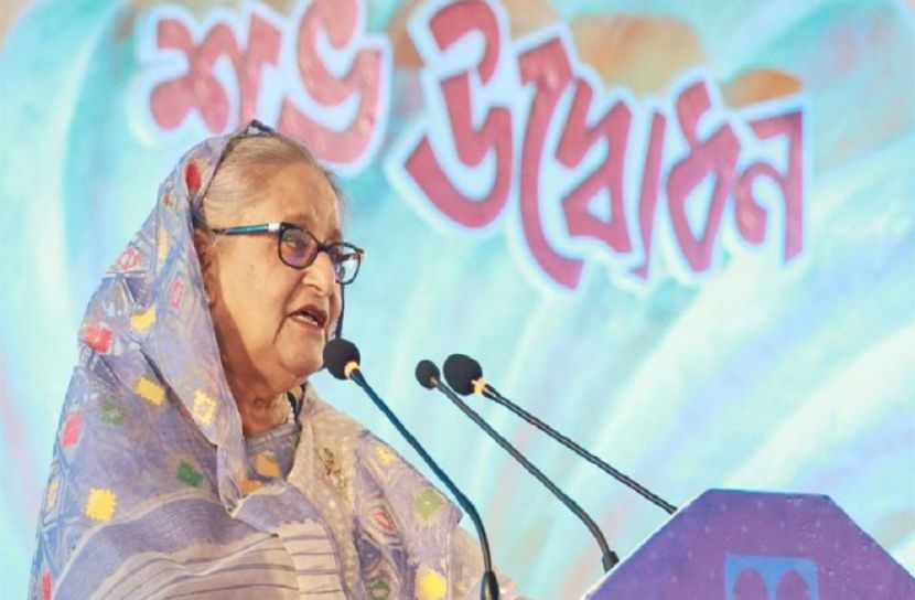 সংগৃহীত ছবি