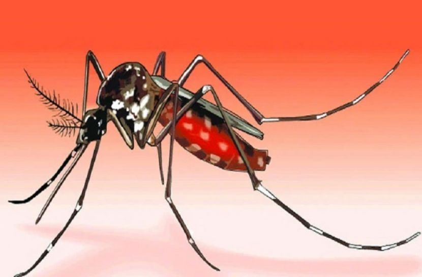 প্রতীকী ছবি