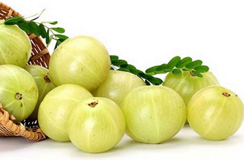 ছবি-সংগৃহীত