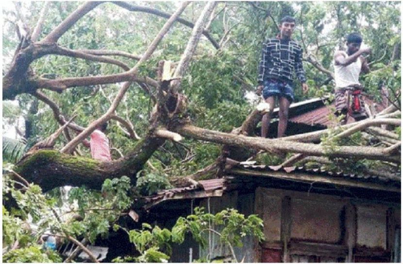 সংগৃহীত