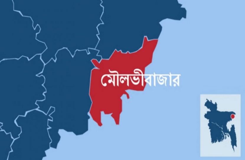 বাড়ি থেকে বেরিয়ে নিখোঁজ ২ তরুণী
