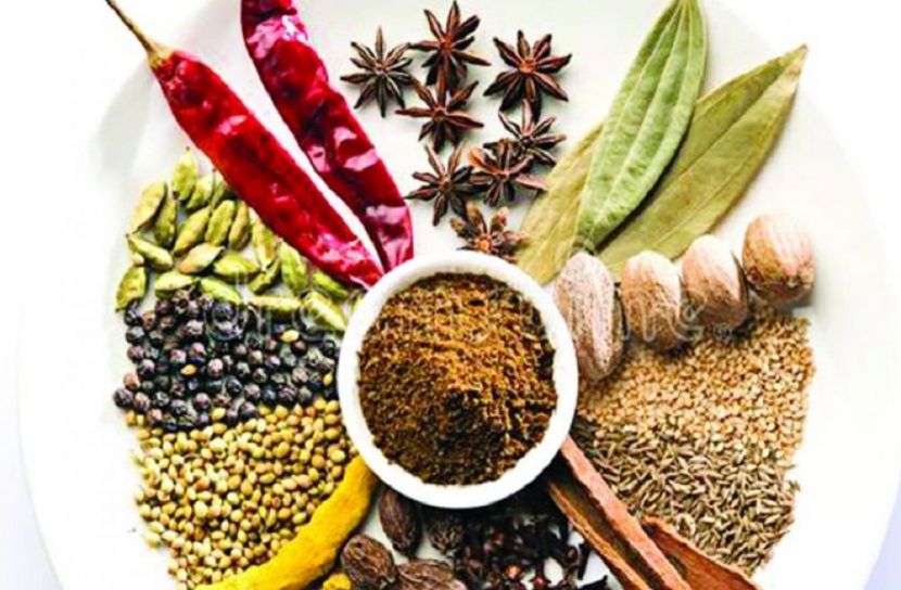 ছবি-সংগৃহীত