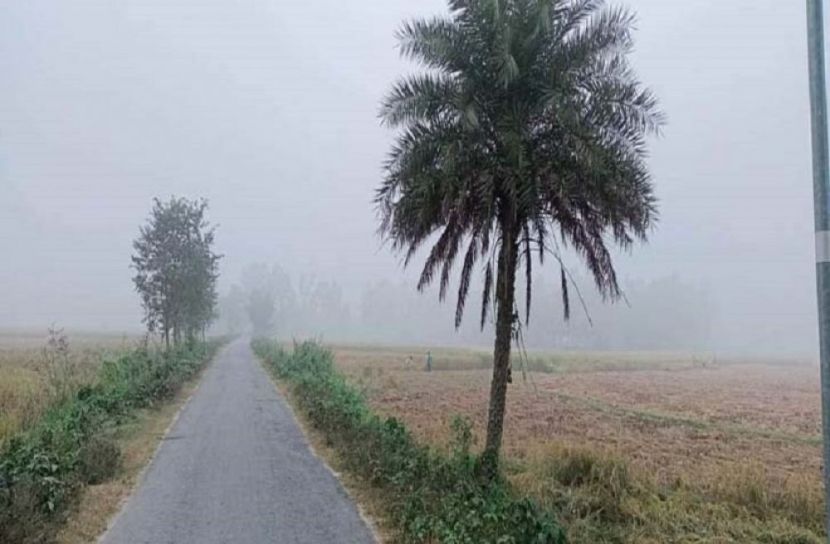 সংগৃহীত ছবি