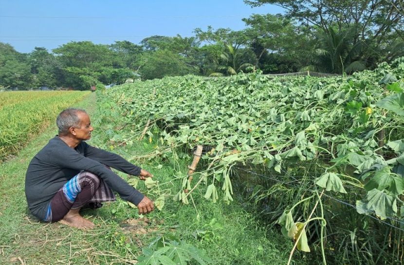 ছবি: সংগৃহীত