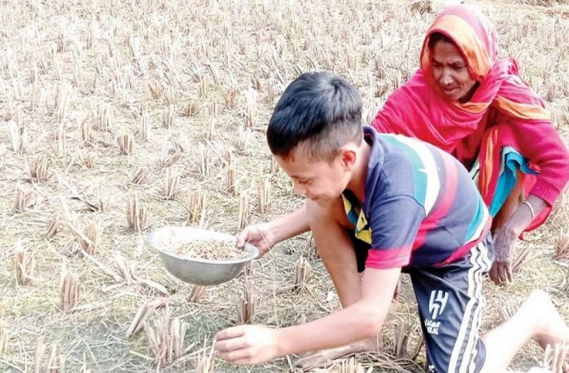 ছবি: সংগৃহীত