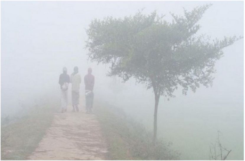 ছবি : সংগৃহিত