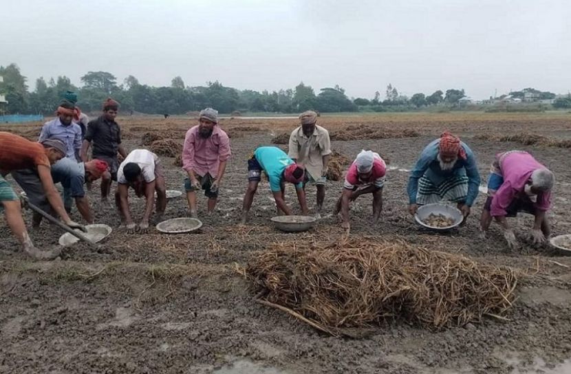 ছবি: সংগৃহীত