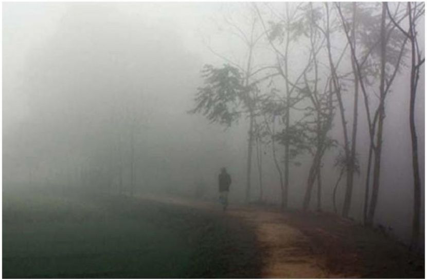 সংগৃহীত