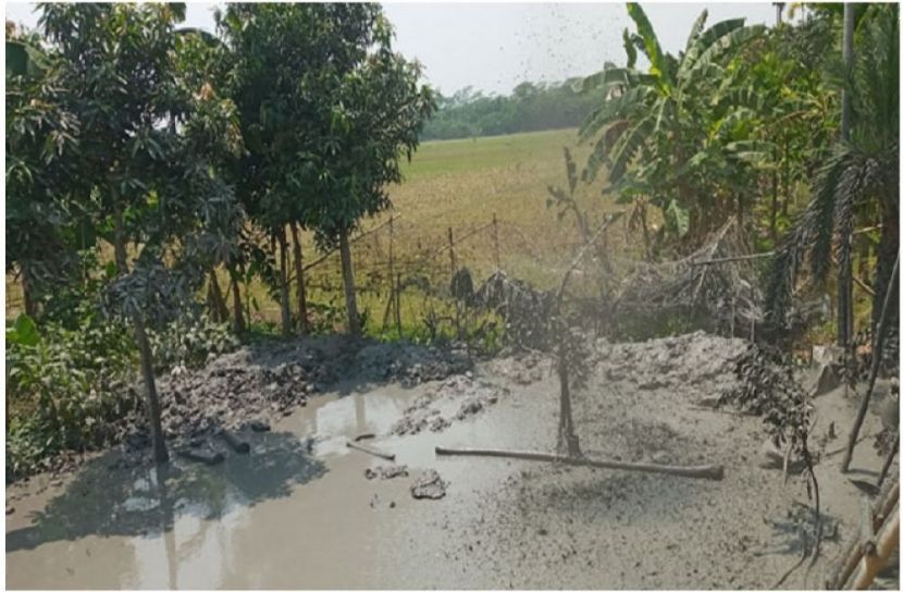 সংগৃহীত