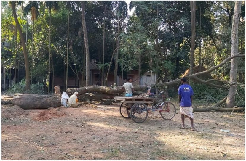 সংগৃহীত