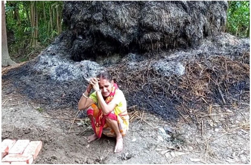 সংগৃহীত