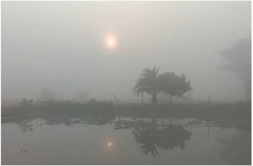 সংগৃহীত