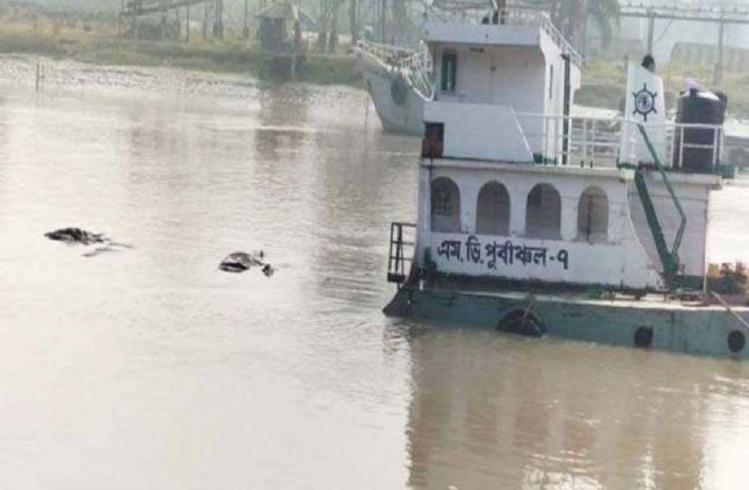 সংগৃহীত ছবি