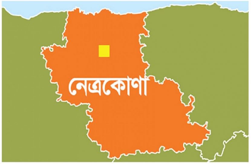 পল্লী রর য় লাকি আক্তার (১৮) নামের কলেজ  হয়েছে