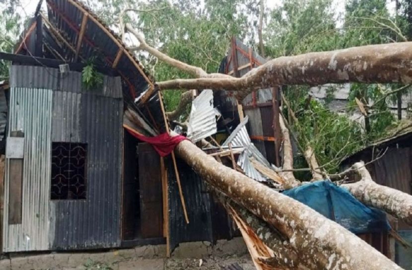 সংগৃহীত