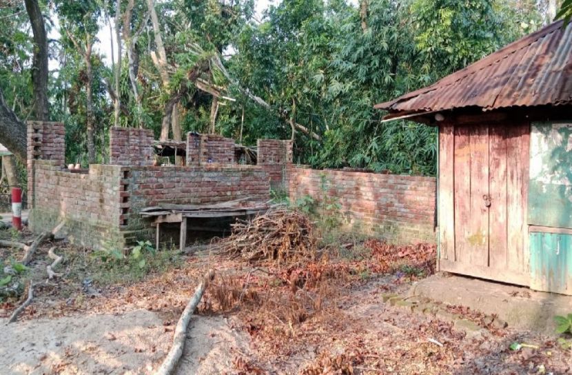 সংগৃহীত ছবি