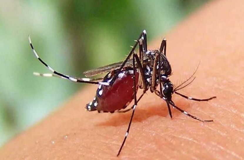 সংগৃহীত ছবি