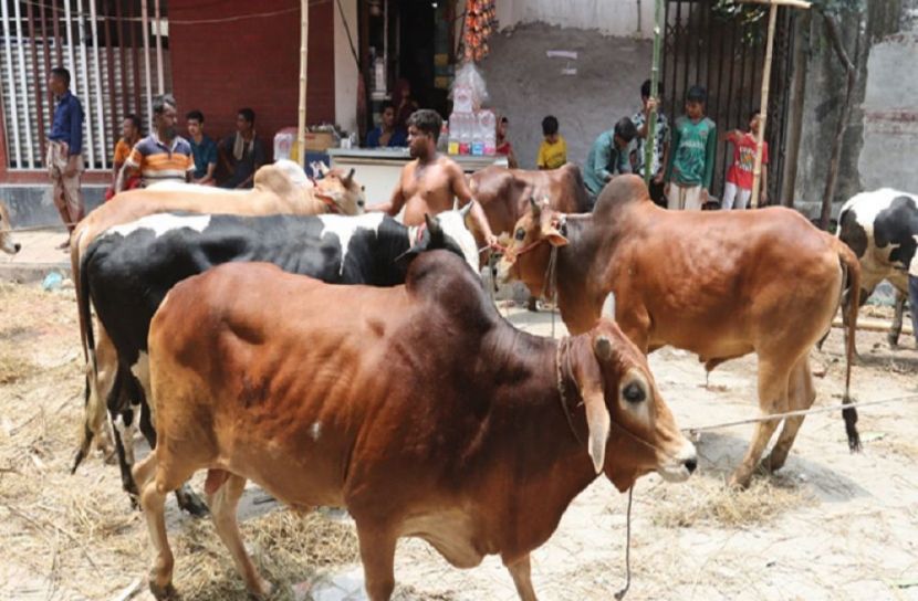 সংগৃহীত