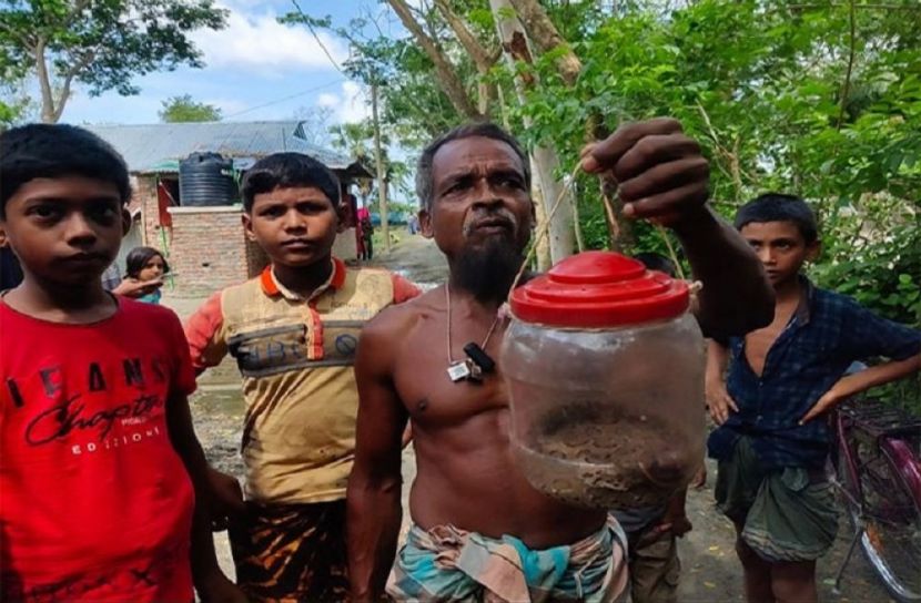 সংগৃহীত