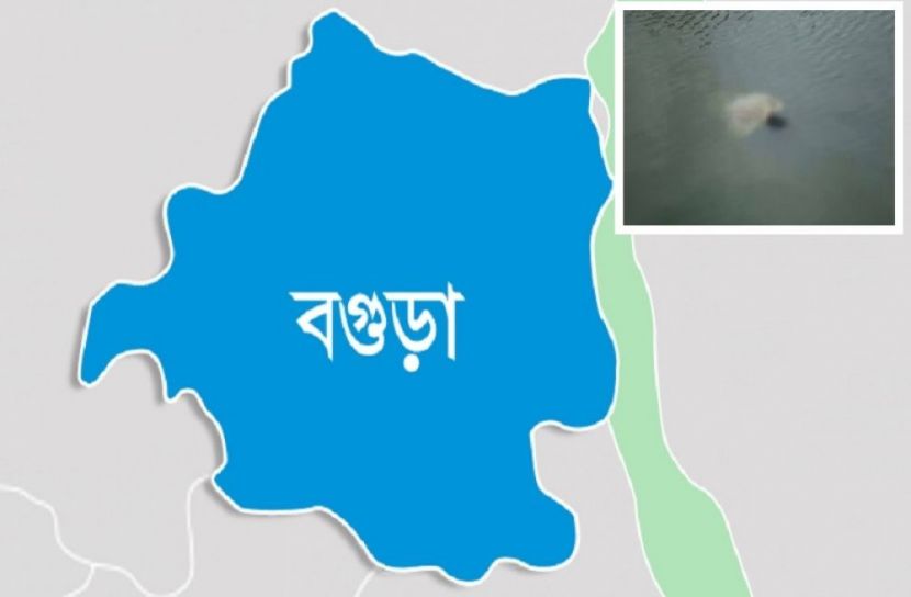 সংগৃহীত