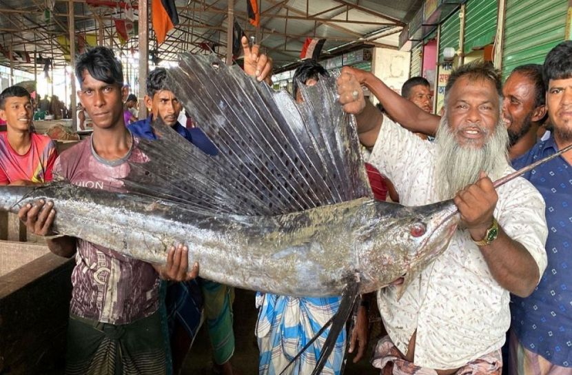 সংগৃহীত ছবি