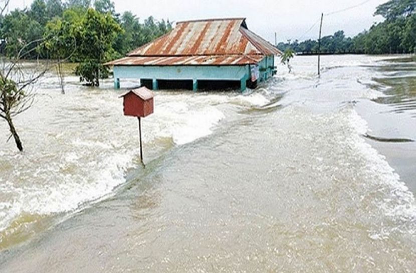 সংগৃহীত ছবি