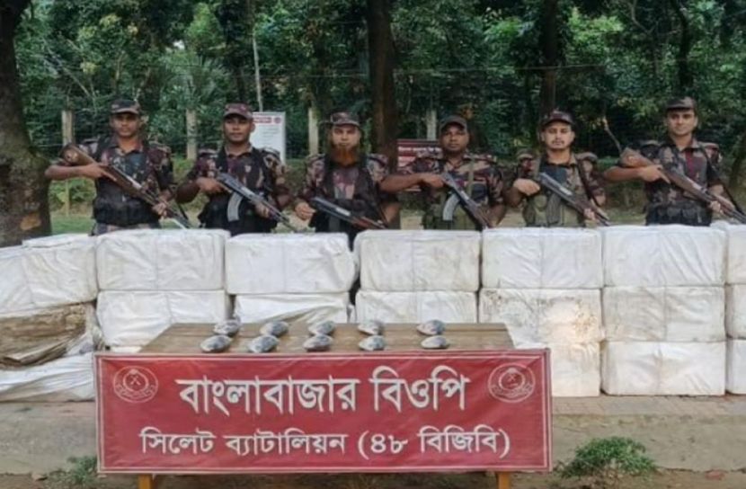 সংগৃহীত ছবি
